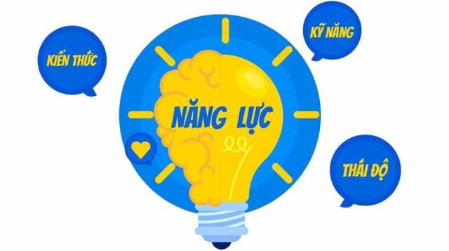 Năng lực trong quản trị nguồn nhân lực là gì?