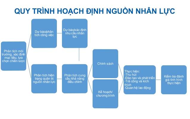 Quy trình hoạch định nguồn nhân lực 